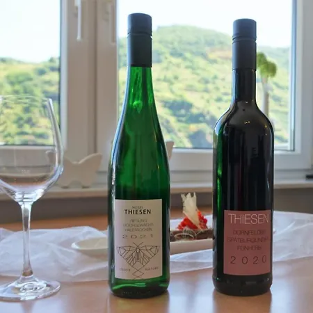 Ferienweingut Klaus Thiesen Gaestezimmer Und אלנז-פולטרסדורף