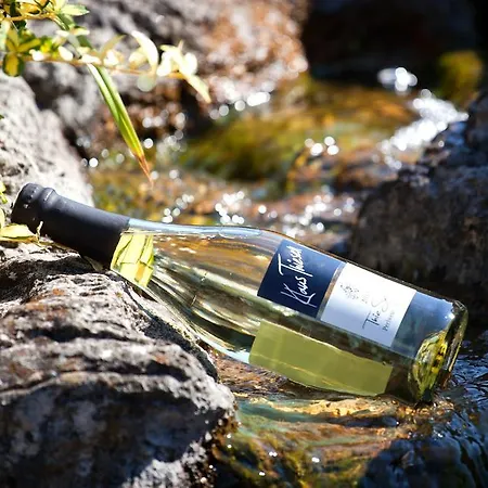 Ferienweingut Klaus Thiesen Gästezimmer Und