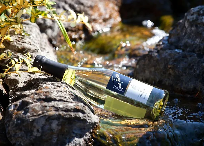 Ferienweingut Klaus Thiesen Gaestezimmer Und